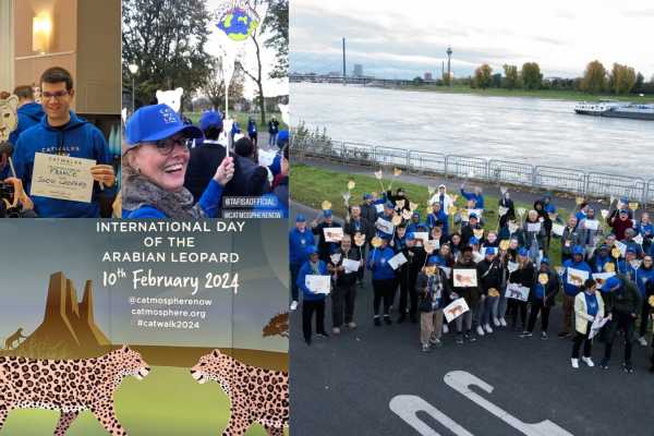 Paws and Progress: Exciting Partnership with Catmosphere Foundation